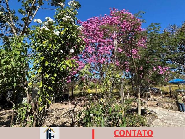 #6 - Chácara para Venda em Arcos - MG